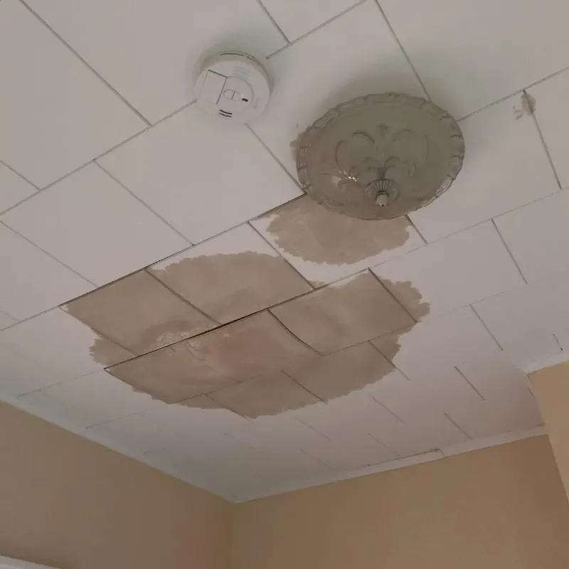 Ceiling Water Damage Repair in Bergenfield, NJ